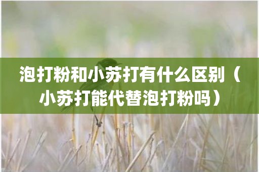 泡打粉和小苏打有什么区别（小苏打能代替泡打粉吗）