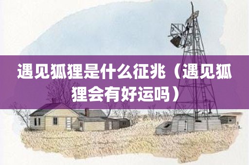 遇见狐狸是什么征兆(遇见狐狸会有好运吗)