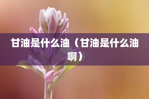 甘油是什么油（甘油是什么油啊）