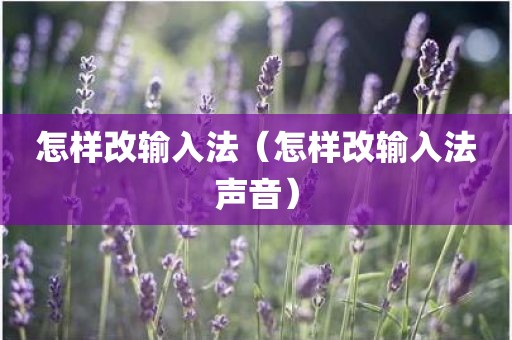 怎样改输入法（怎样改输入法声音）