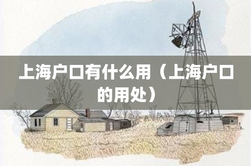 上海户口有什么用（上海户口的用处）