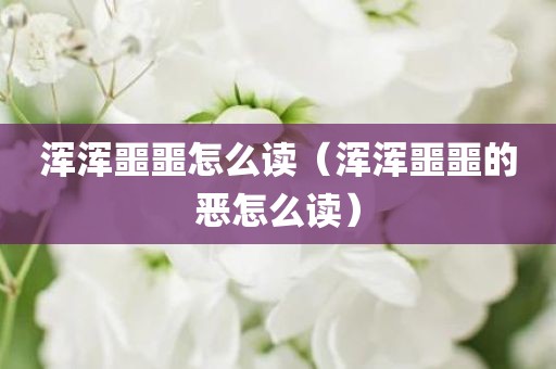 浑浑噩噩怎么读（浑浑噩噩的恶怎么读）