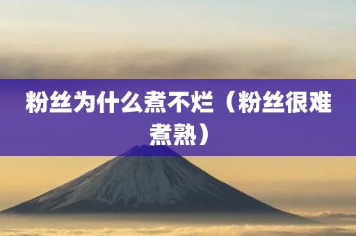 粉丝为什么煮不烂（粉丝很难煮熟）