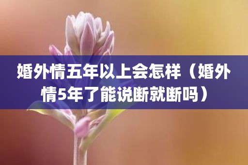婚外情五年以上会怎样（婚外情5年了能说断就断吗）