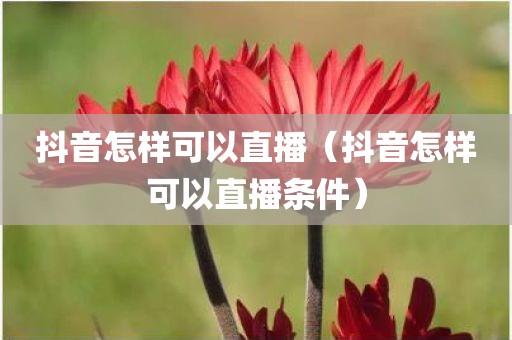 抖音怎样可以直播（抖音怎样可以直播条件）