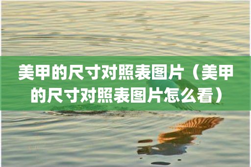 美甲的尺寸对照表图片（美甲的尺寸对照表图片怎么看）
