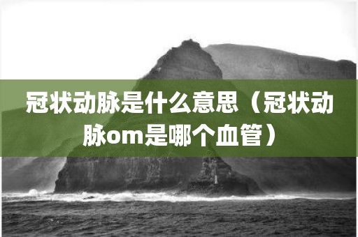 冠状动脉是什么意思（冠状动脉om是哪个血管）