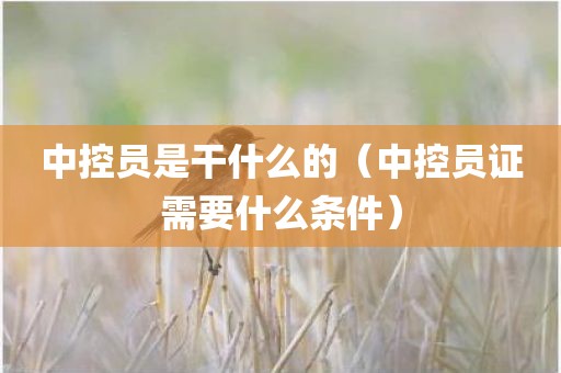 中控员是干什么的（中控员证需要什么条件）