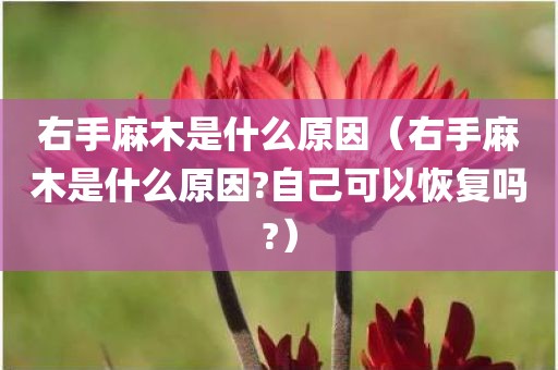 右手麻木是什么原因（右手麻木是什么原因?自己可以恢复吗?）