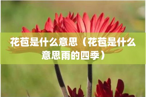 花苞是什么意思（花苞是什么意思雨的四季）