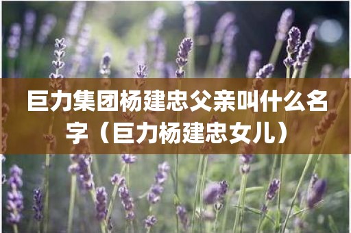 巨力集团杨建忠父亲叫什么名字（巨力杨建忠女儿）