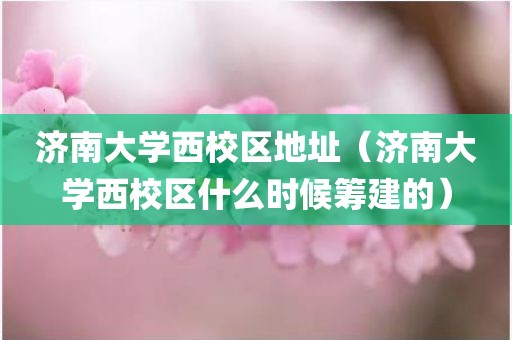 济南大学西校区地址（济南大学西校区什么时候筹建的）