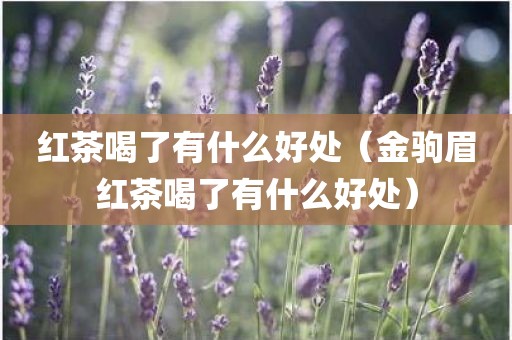 红茶喝了有什么好处（金驹眉红茶喝了有什么好处）