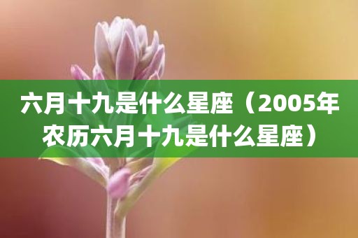 六月十九是什么星座（2005年农历六月十九是什么星座）