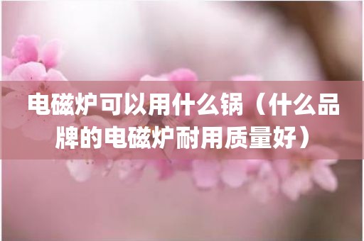 电磁炉可以用什么锅（什么品牌的电磁炉耐用质量好）