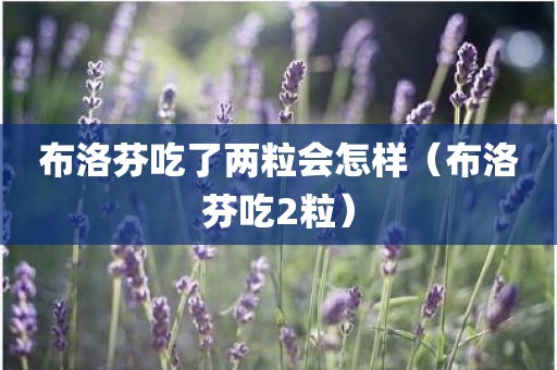 布洛芬吃了两粒会怎样（布洛芬吃2粒）