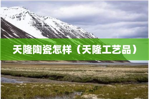 天隆陶瓷怎样（天隆工艺品）