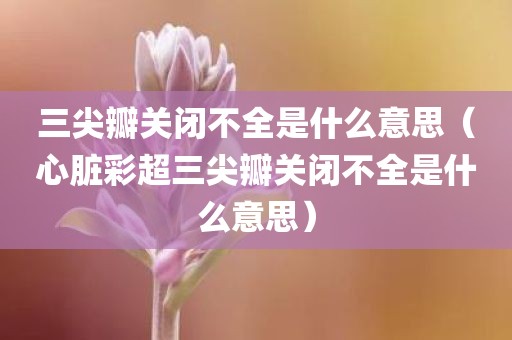 三尖瓣关闭不全是什么意思（心脏彩超三尖瓣关闭不全是什么意思）