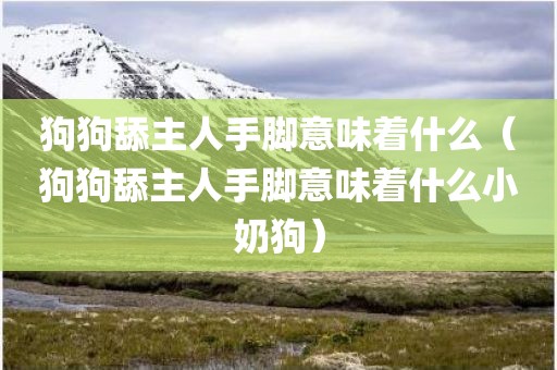 狗狗舔主人手脚意味着什么（狗狗舔主人手脚意味着什么小奶狗）