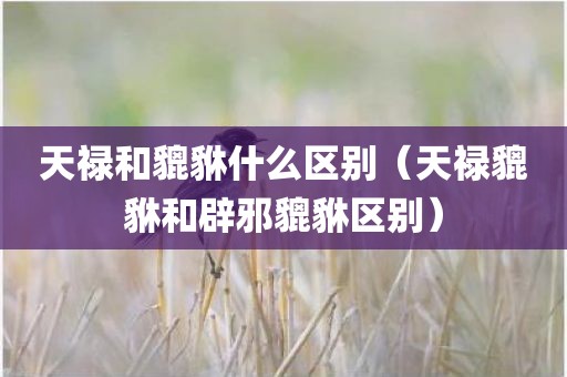 天禄和貔貅什么区别（天禄貔貅和辟邪貔貅区别）