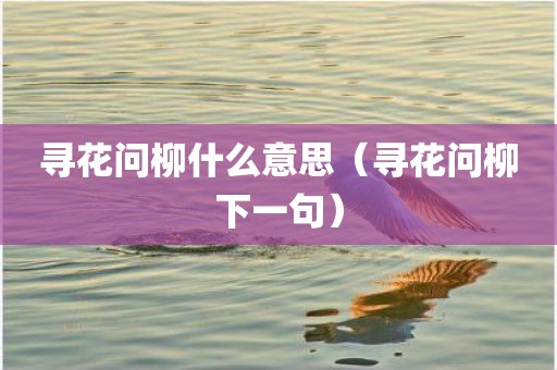寻花问柳什么意思（寻花问柳下一句）