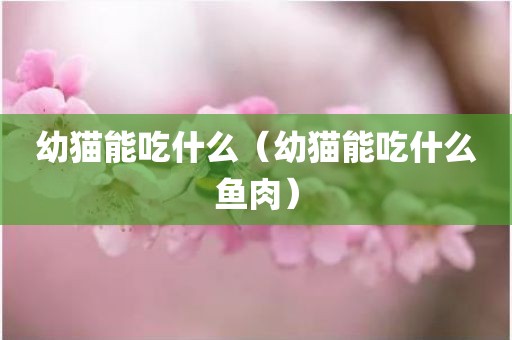 幼猫能吃什么（幼猫能吃什么鱼肉）