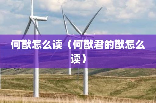 何猷怎么读（何猷君的猷怎么读）