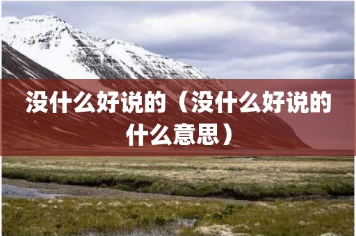 没什么好说的（没什么好说的什么意思）