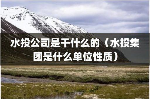 水投公司是干什么的（水投集团是什么单位性质）