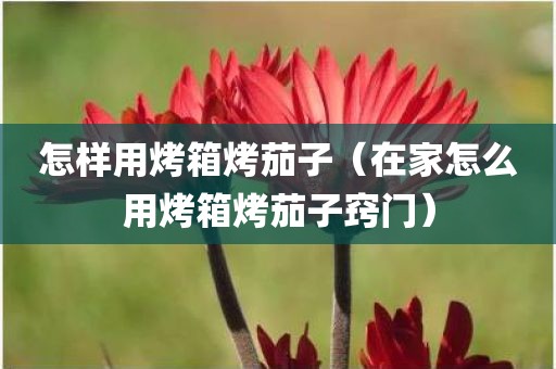 怎样用烤箱烤茄子（在家怎么用烤箱烤茄子窍门）