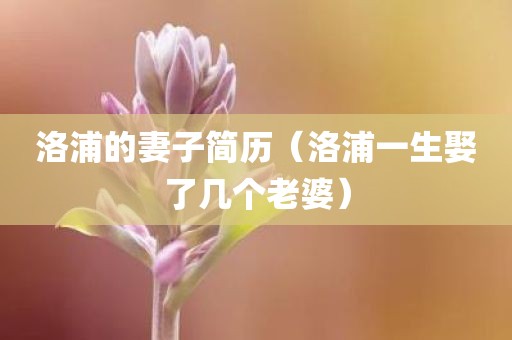 洛浦的妻子简历（洛浦一生娶了几个老婆）