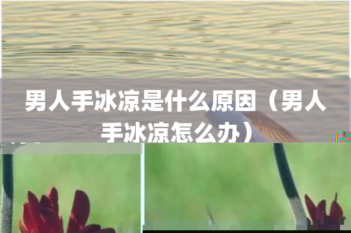 男人手冰凉是什么原因（男人手冰凉怎么办）