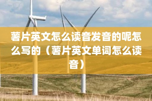 薯片英文怎么读音发音的呢怎么写的（薯片英文单词怎么读音）