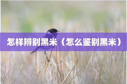 怎样辨别黑米（怎么鉴别黑米）