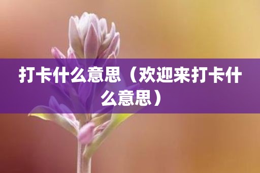 打卡什么意思（欢迎来打卡什么意思）