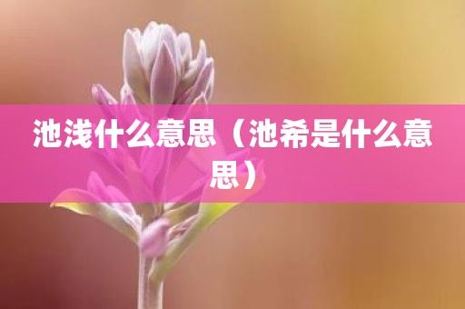 池浅什么意思（池希是什么意思）