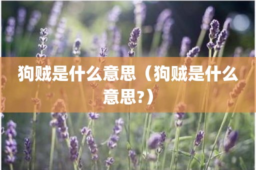 狗贼是什么意思（狗贼是什么意思?）