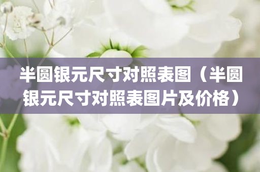 半圆银元尺寸对照表图（半圆银元尺寸对照表图片及价格）