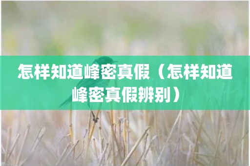 怎样知道峰密真假（怎样知道峰密真假辨别）
