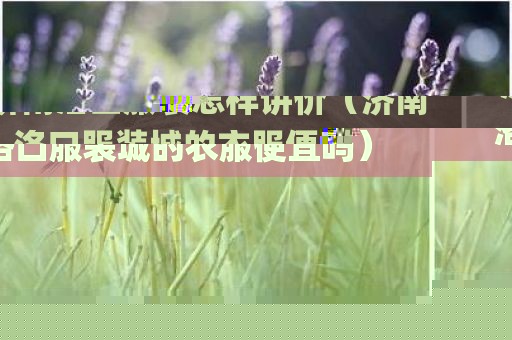 济南洛口服装怎样讲价（济南洛口服装城的衣服便宜吗）