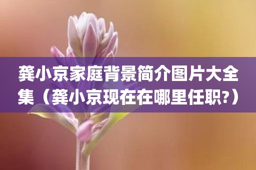龚小京家庭背景简介图片大全集（龚小京现在在哪里任职?）