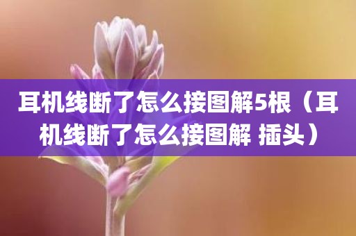 耳机线断了怎么接图解5根（耳机线断了怎么接图解 插头）