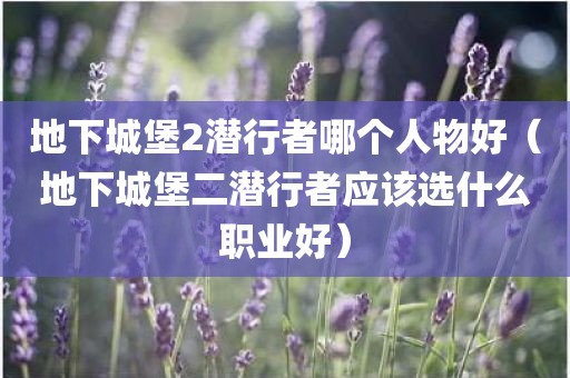 地下城堡2潜行者哪个人物好（地下城堡二潜行者应该选什么职业好）