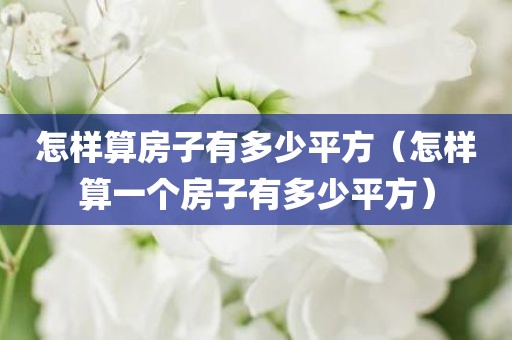 怎样算房子有多少平方（怎样算一个房子有多少平方）