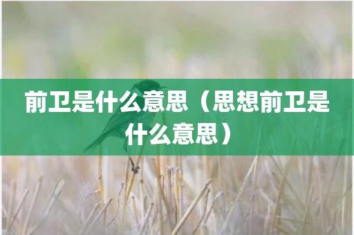 前卫是什么意思（思想前卫是什么意思）