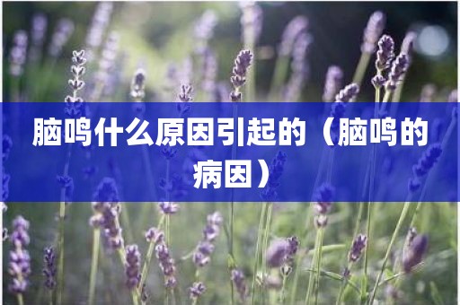 脑鸣什么原因引起的(脑鸣的病因)