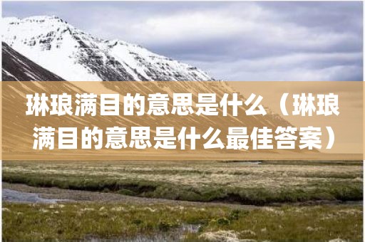琳琅满目的意思是什么（琳琅满目的意思是什么最佳答案）