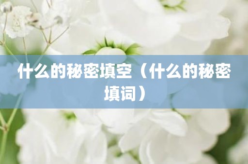 什么的秘密填空（什么的秘密填词）
