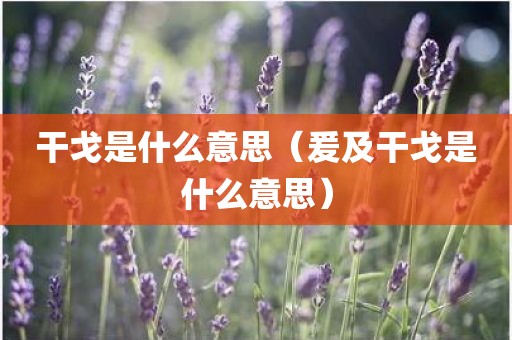 干戈是什么意思（爰及干戈是什么意思）