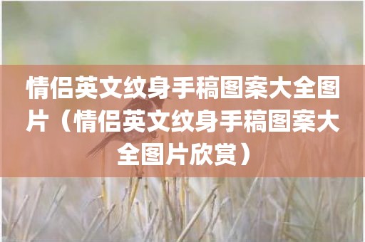 情侣英文纹身手稿图案大全图片（情侣英文纹身手稿图案大全图片欣赏）